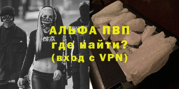 ПСИЛОЦИБИНОВЫЕ ГРИБЫ Инсар