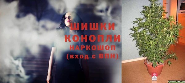 молекула духа Иннополис