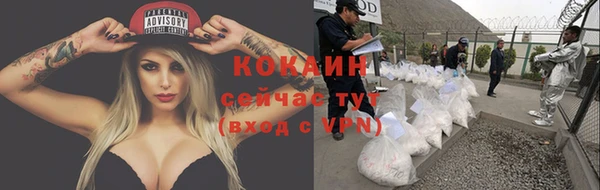 молекула духа Иннополис