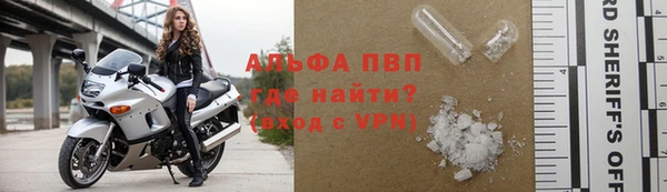 ПСИЛОЦИБИНОВЫЕ ГРИБЫ Инсар