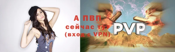 ALPHA PVP Инта