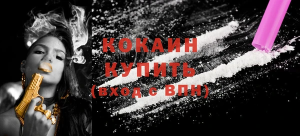 ПСИЛОЦИБИНОВЫЕ ГРИБЫ Инсар