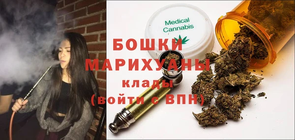 ПСИЛОЦИБИНОВЫЕ ГРИБЫ Инсар