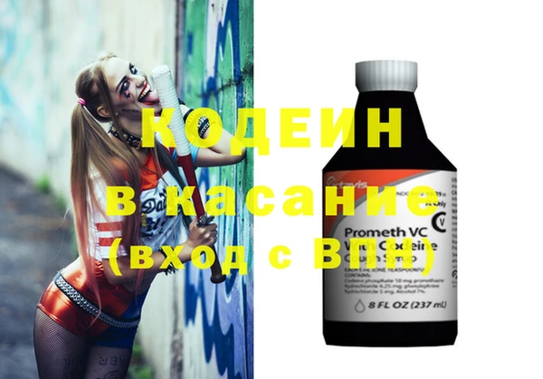 ПСИЛОЦИБИНОВЫЕ ГРИБЫ Инсар