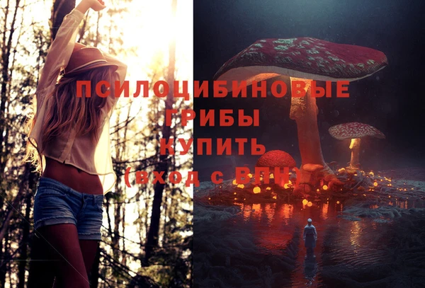 молекула духа Иннополис