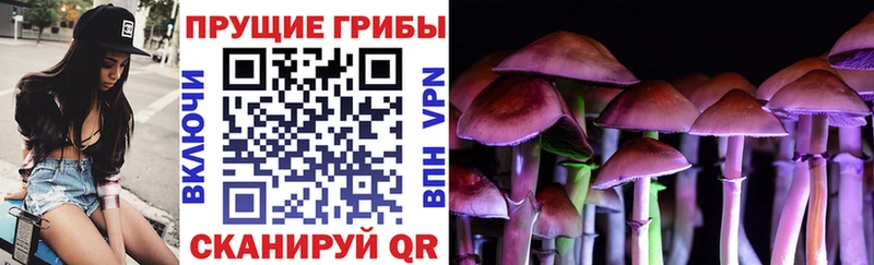 Псилоцибиновые грибы GOLDEN TEACHER  Среднеуральск 