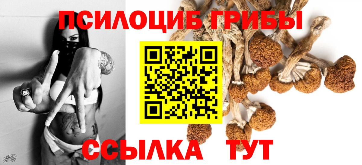 Галлюциногенные грибы GOLDEN TEACHER  Вход с VPN  Среднеуральск  Псилоцибиновые грибы ЛСД 